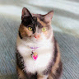 Meet your Posher, Veronica jane